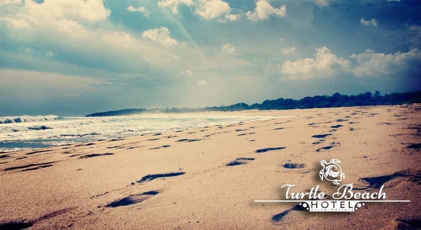 Turtle Beach Hotel Ujunggenteng Номер фото